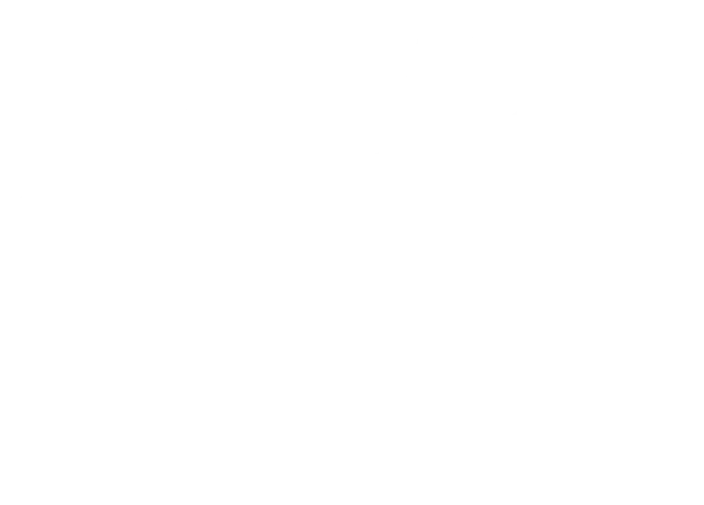 For you, for me PIONEER SYSTEM TECHNOLOGIES CORP.